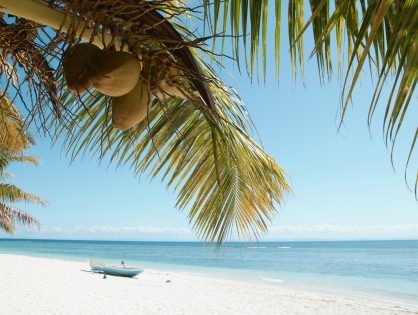 10 ciekawostek o Madagaskarze – ile z nich znasz?